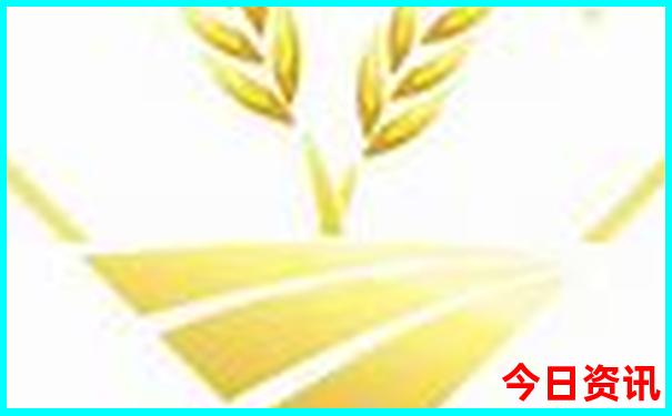 新澳门历史所有记录大全查询最新消息表